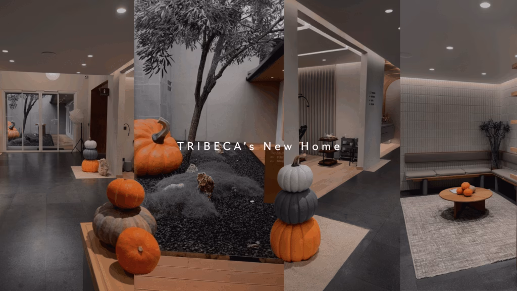 tribeca interior design salon bandung